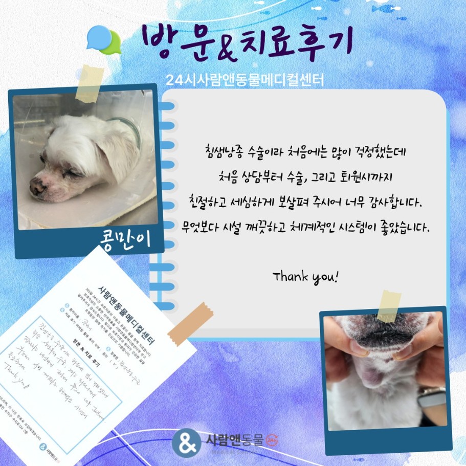 [침샘낭종] 콩만이 보호자님의 소중한 치료 후기