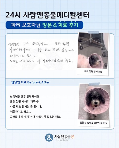 [담낭점액종] 파티 보호자님의 소중한 치료 후기