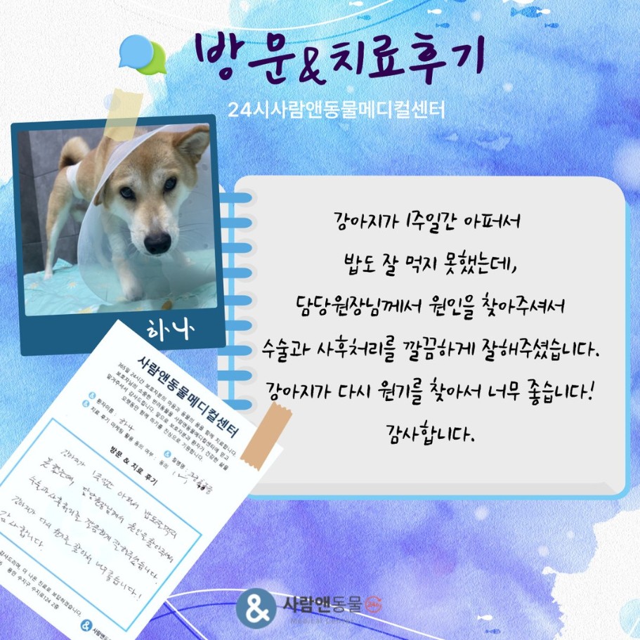 [자궁축농증] 하나 보호자님의 소중한 치료 후기