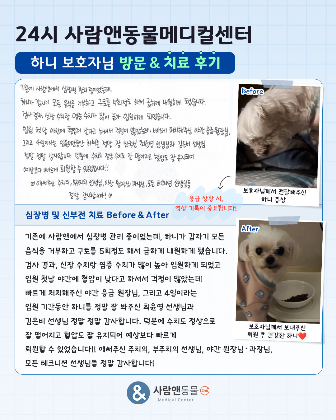 [심장병] 하니 보호자님의 소중한 치료 후기