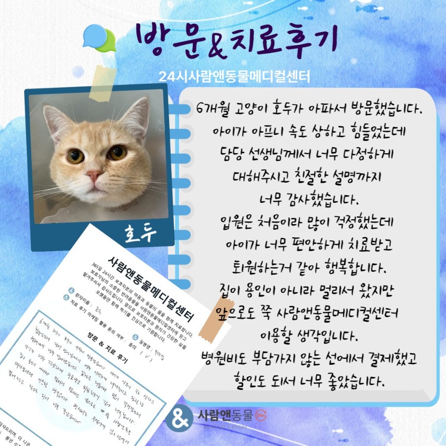 [복막염] 호두 보호자님의 소중한 치료 후기