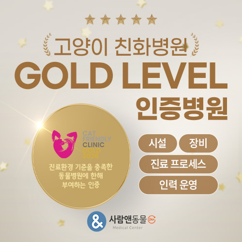 고양이 골드레벨 인증 병원