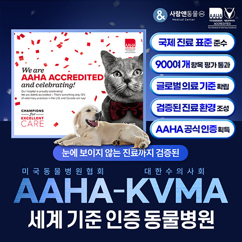 AHHA 인증
